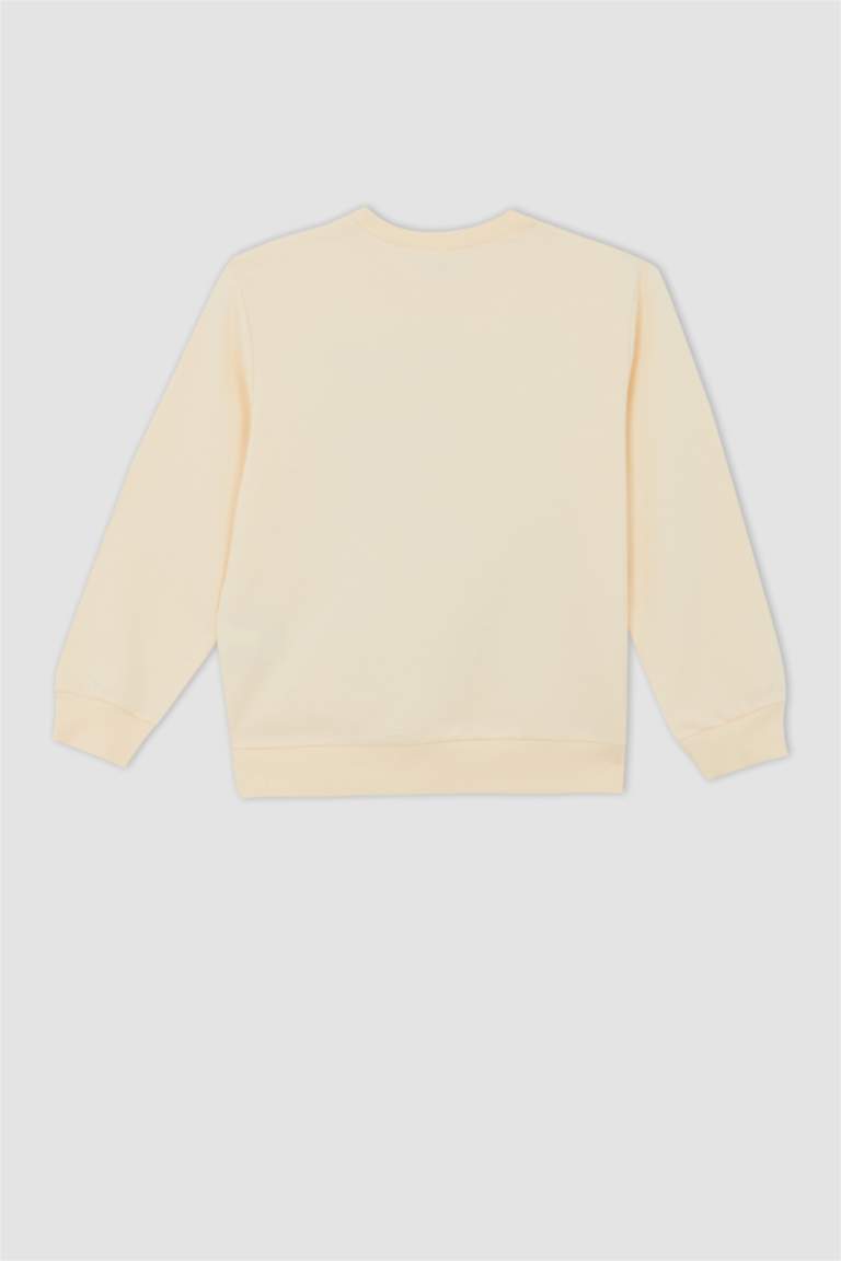 Қыздарға қалыпты пішім дөңгелек жаға Свитер