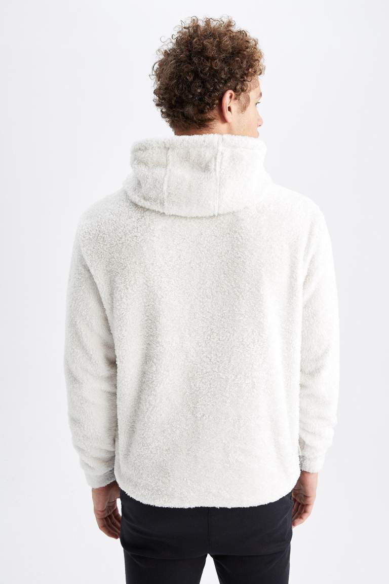 Regular Fit Kapüşonlu Baskılı Pelüş Sweatshirt