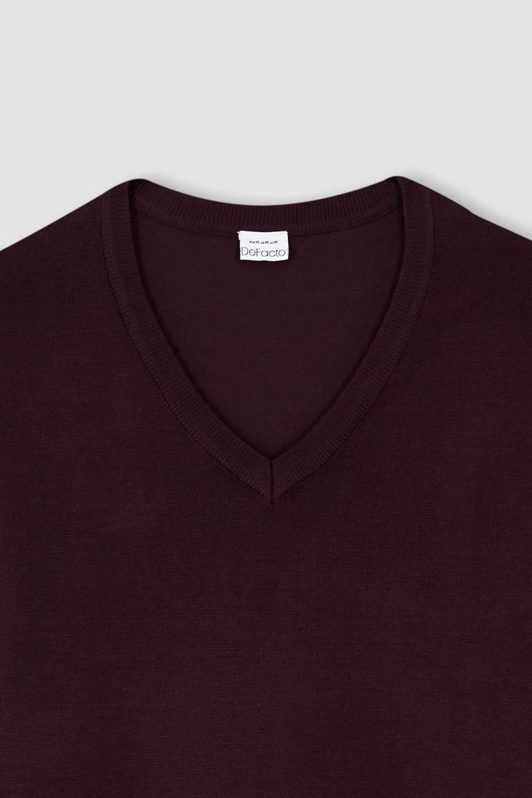 Regular Fit V Yaka Triko Kazak