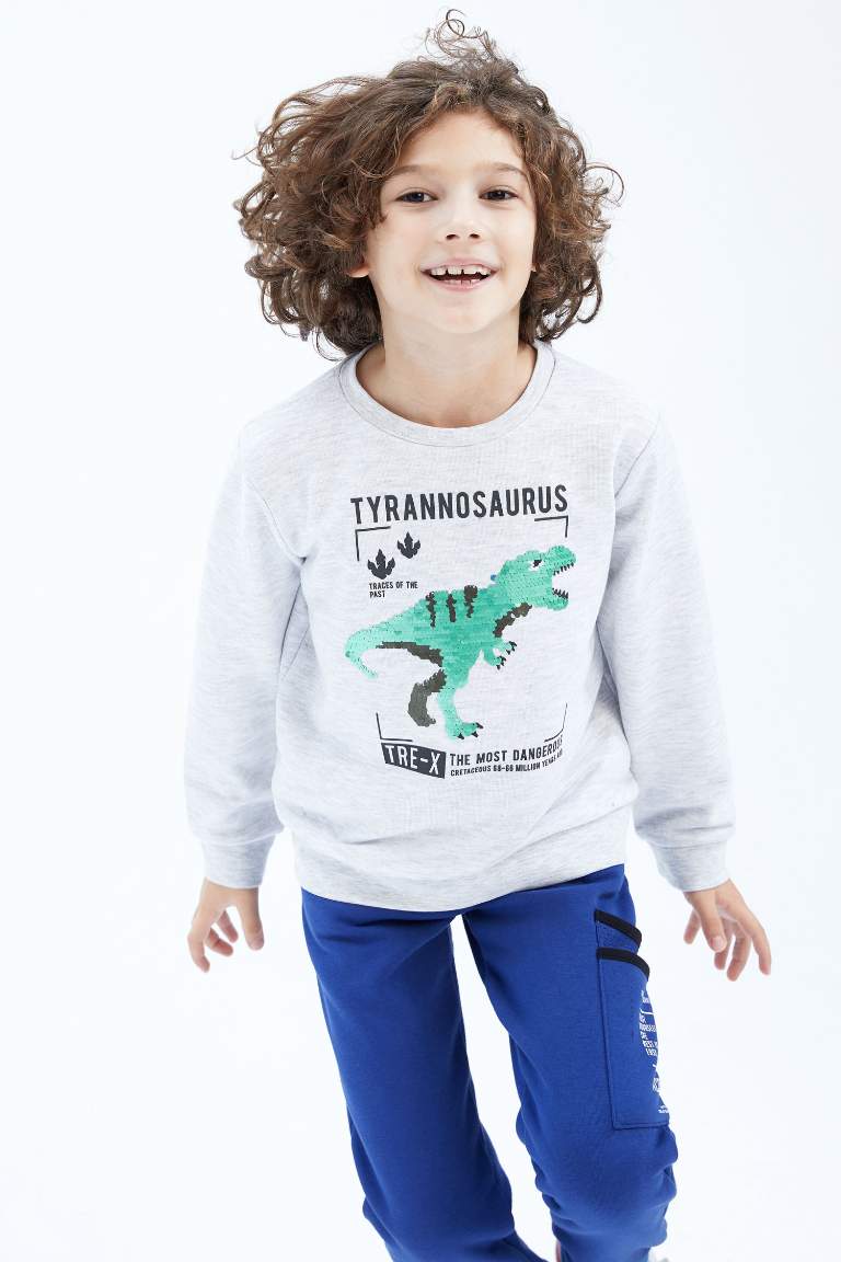 Boy Crew Neck Sweatshirt