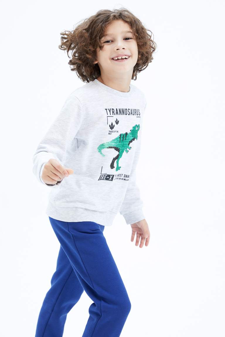 Boy Crew Neck Sweatshirt