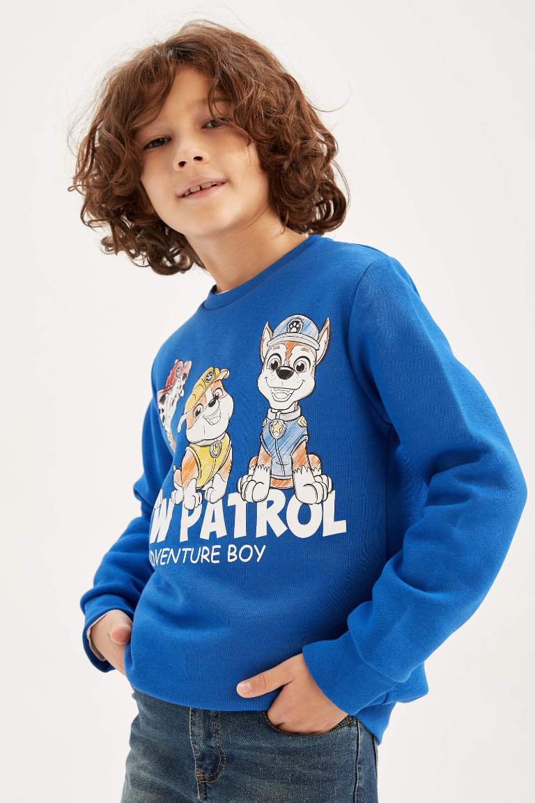 Regular Fit PAW Patrol Licensed Hooded Sweatshirt