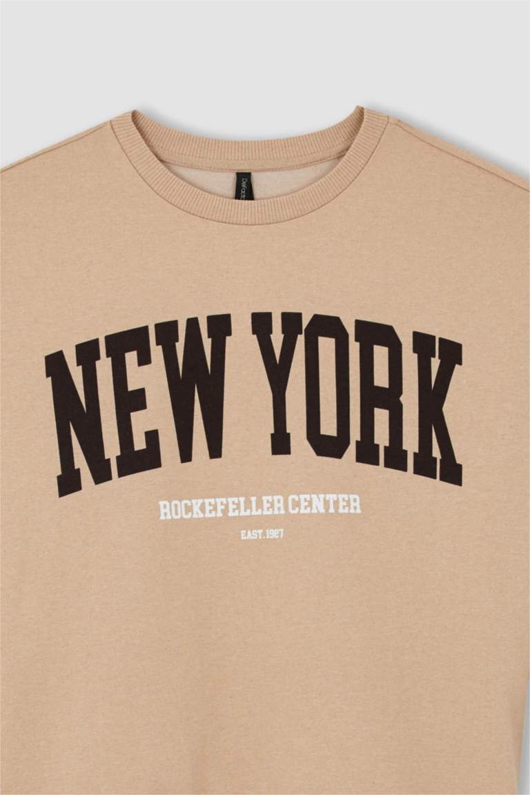 ORANDESIGNE Women's Long Sleeve Round Neck Halloween T-Shirt Top Printed Pumpkin Pattern Loose Pullover Blouse Top Blouse Casual Loose, A Beige, XS