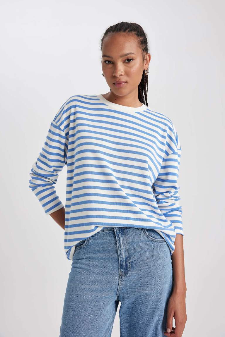 Regular Fit Crew Neck Striped T-Shirt