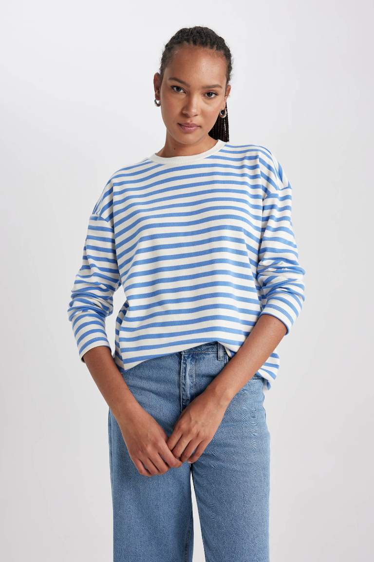 Regular Fit Crew Neck Striped T-Shirt