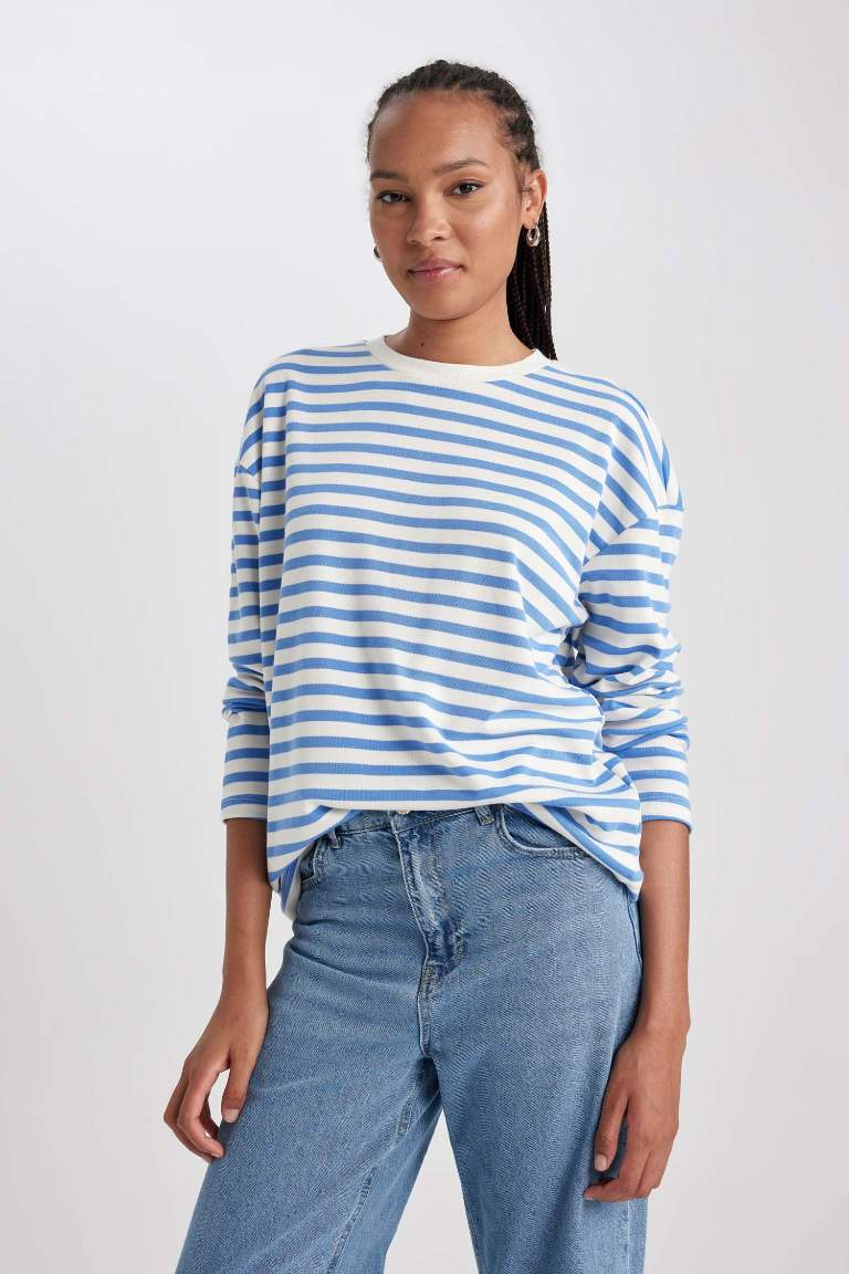 Regular Fit Crew Neck Striped T-Shirt