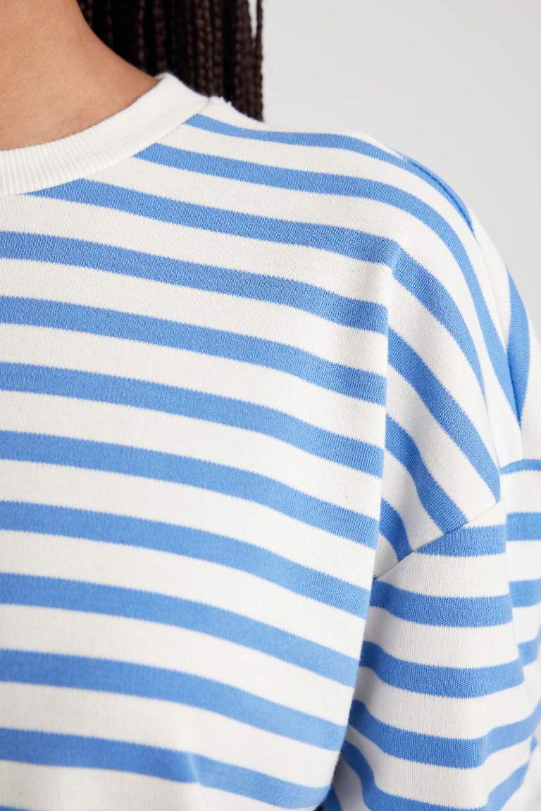 Regular Fit Crew Neck Striped T-Shirt