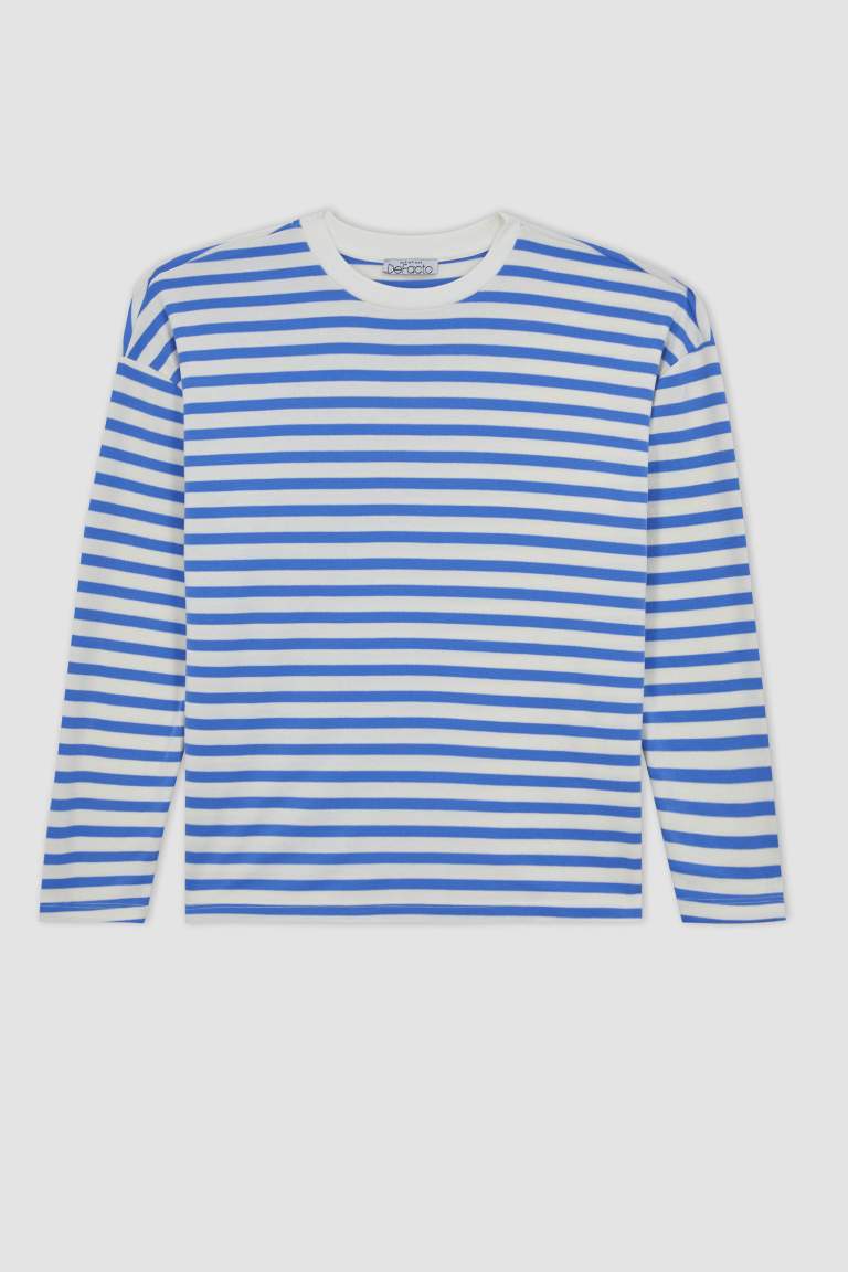 Regular Fit Crew Neck Striped T-Shirt