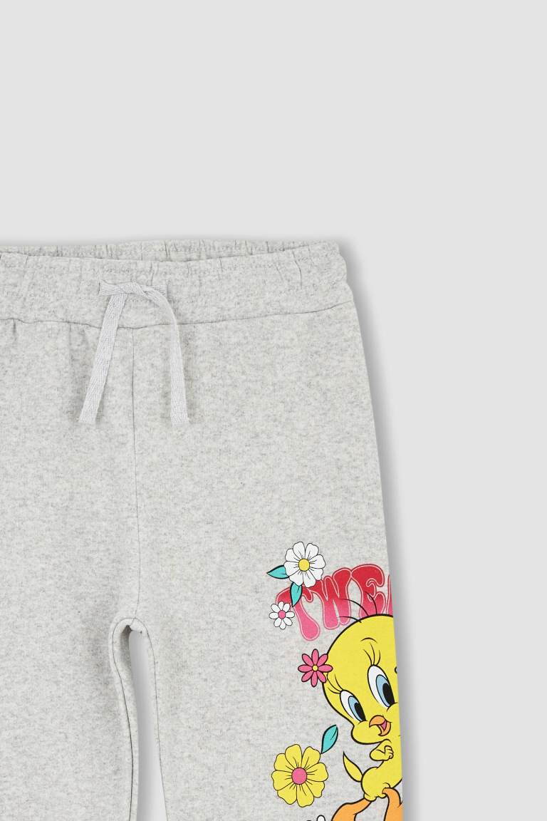 Grey GIRLS & TEENS Jogger Standard Fit Looney Tunes Licensed Pants ...