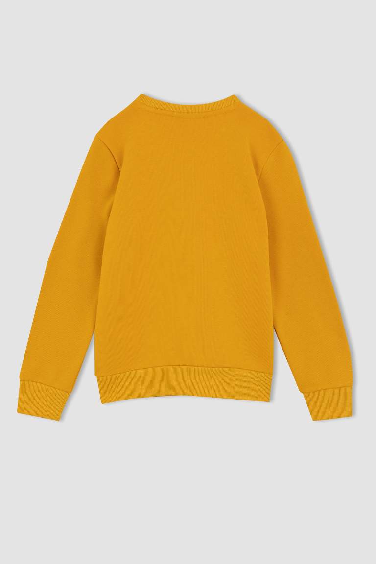 Erkek Çocuk Bisiklet Yaka Sweatshirt