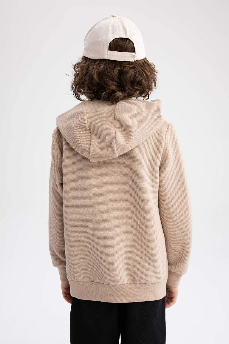 Erkek Çocuk Kapüşonlu Sweatshirt