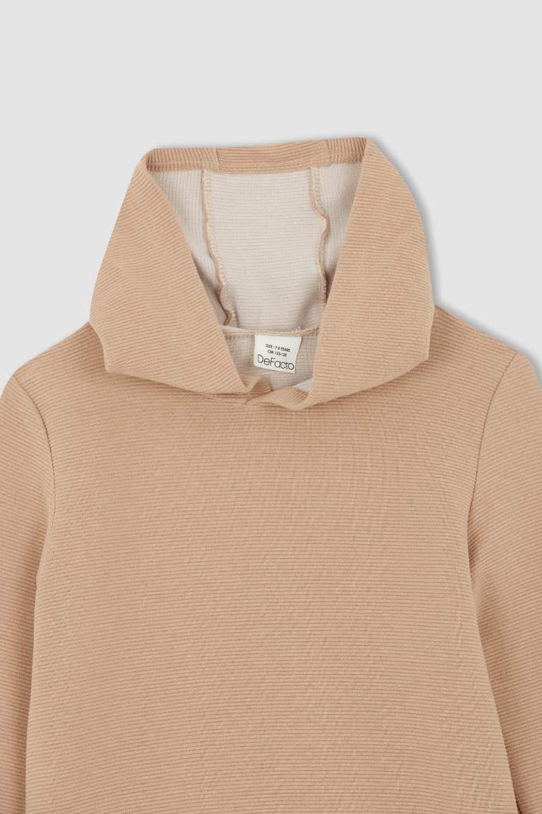 Erkek Çocuk Kapüşonlu Sweatshirt