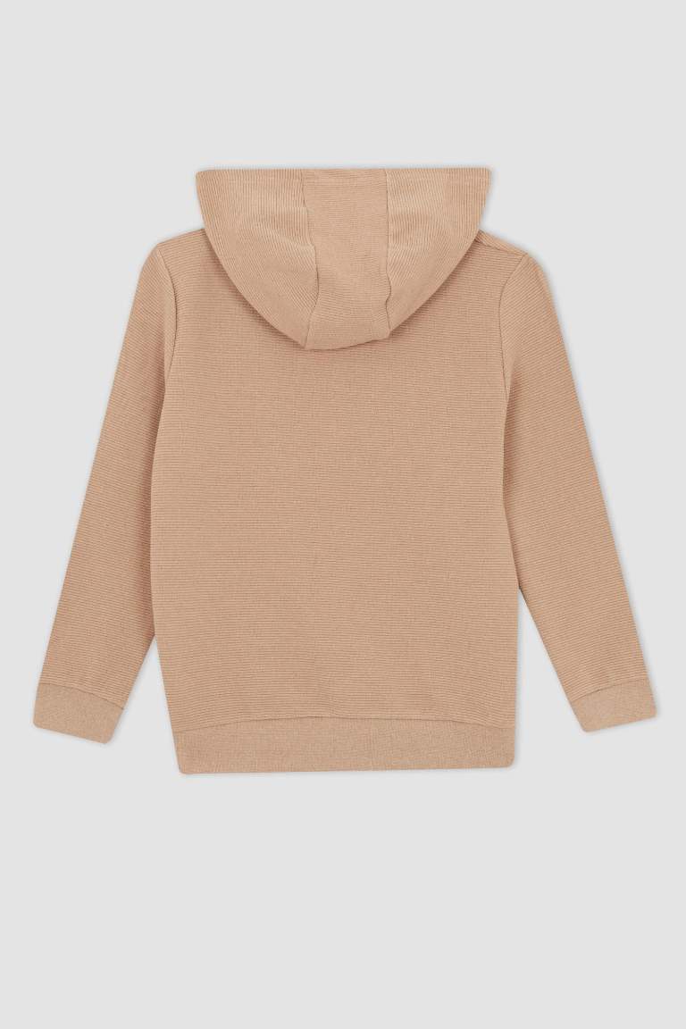 Erkek Çocuk Kapüşonlu Sweatshirt