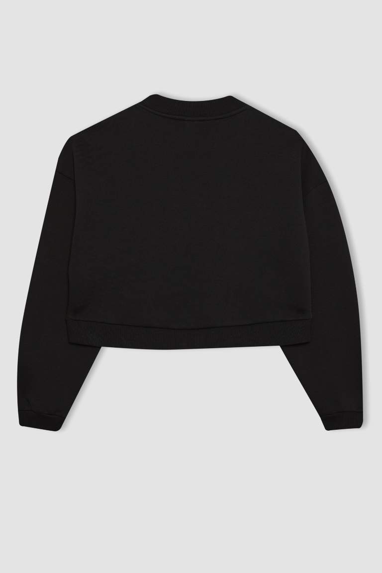 DeFactoFit Crew Neck Thick Basic Crop Sweatshirt