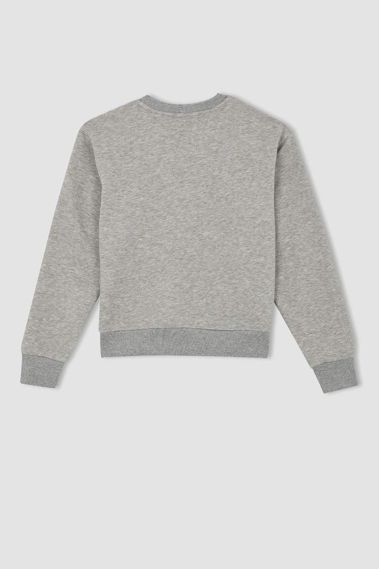 DeFactoFit NBA Standart Fit Bisiklet Yaka Sweatshirt
