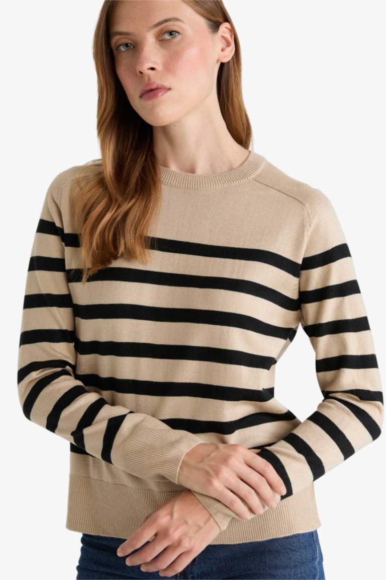 Regular Fit Crew Neck Striped Pullover