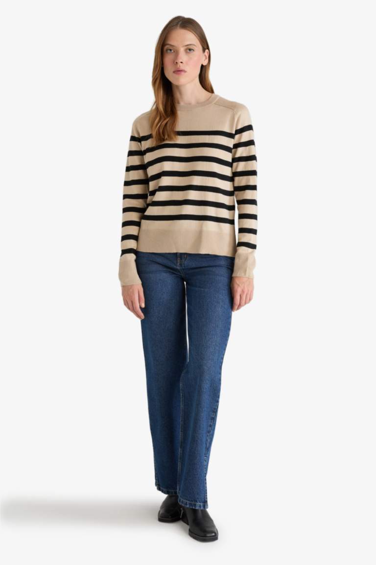 Regular Fit Crew Neck Striped Pullover