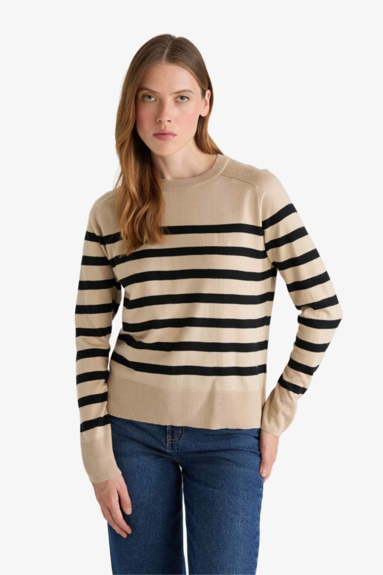 Regular Fit Crew Neck Striped Pullover