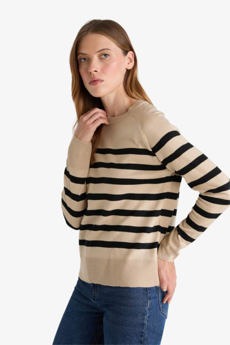Regular Fit Crew Neck Striped Pullover