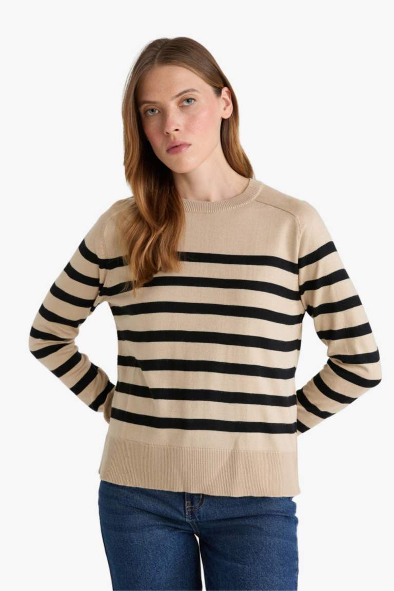 Regular Fit Crew Neck Striped Pullover