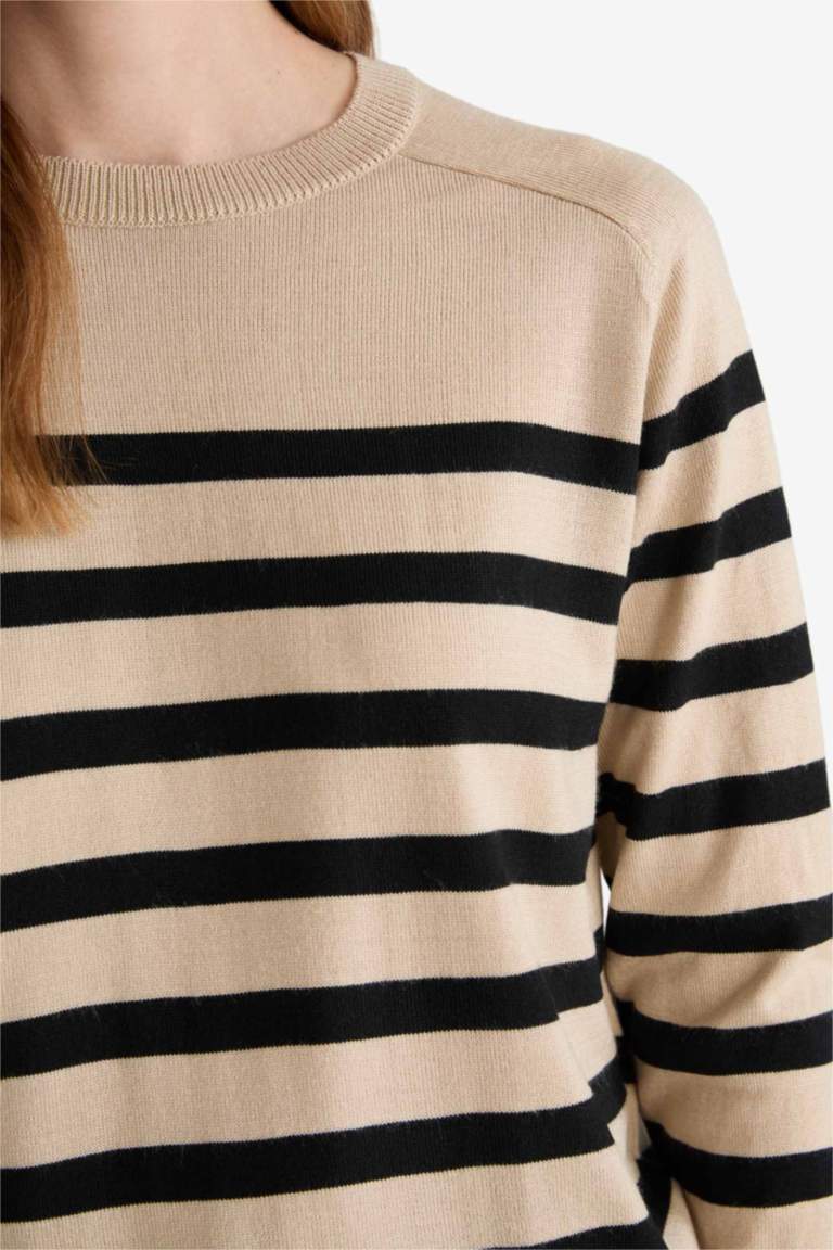 Regular Fit Crew Neck Striped Pullover