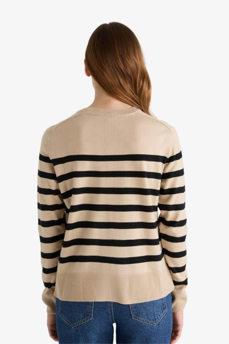 Regular Fit Crew Neck Striped Pullover