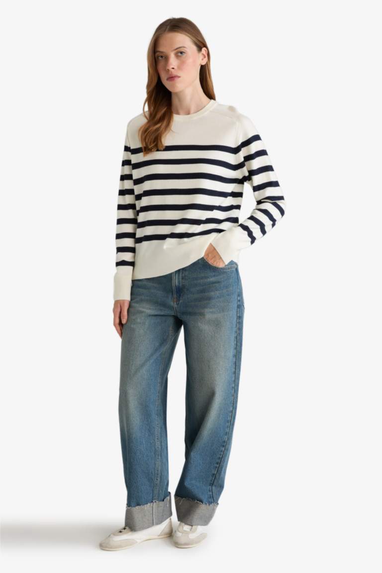 Regular Fit Crew Neck Striped Pullover