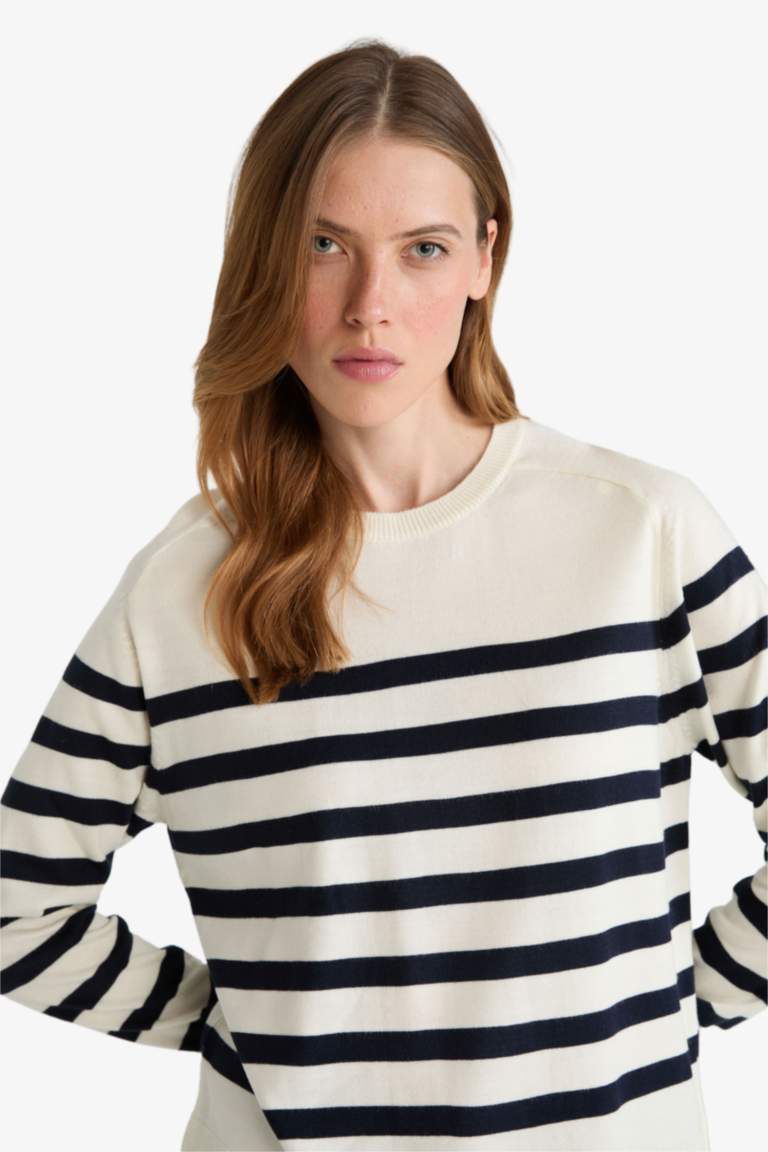 Regular Fit Crew Neck Striped Pullover