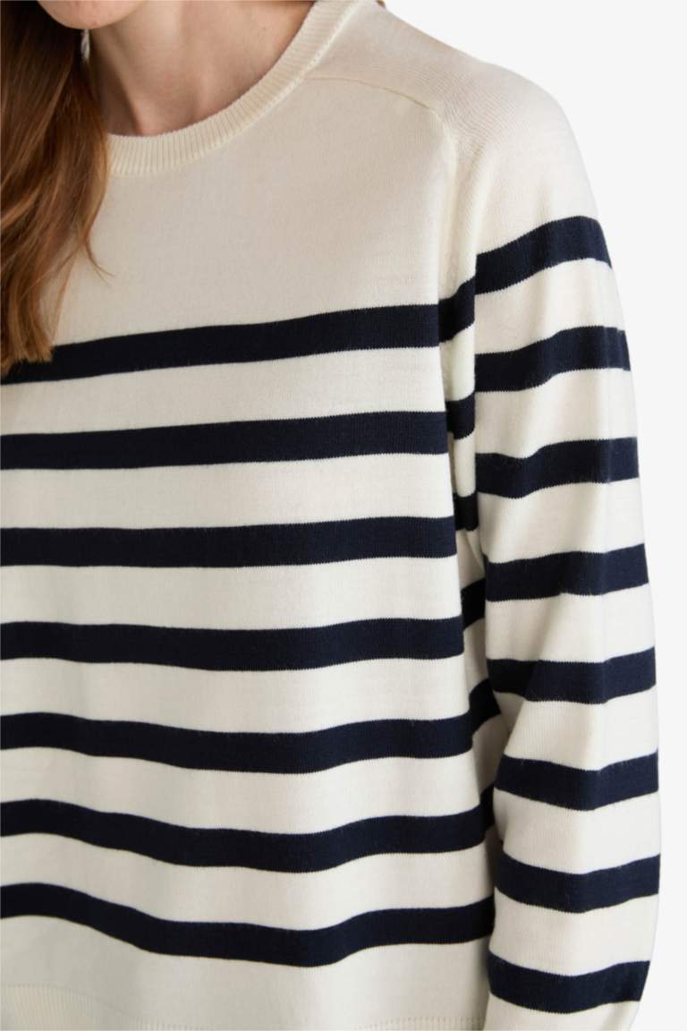 Regular Fit Crew Neck Striped Pullover