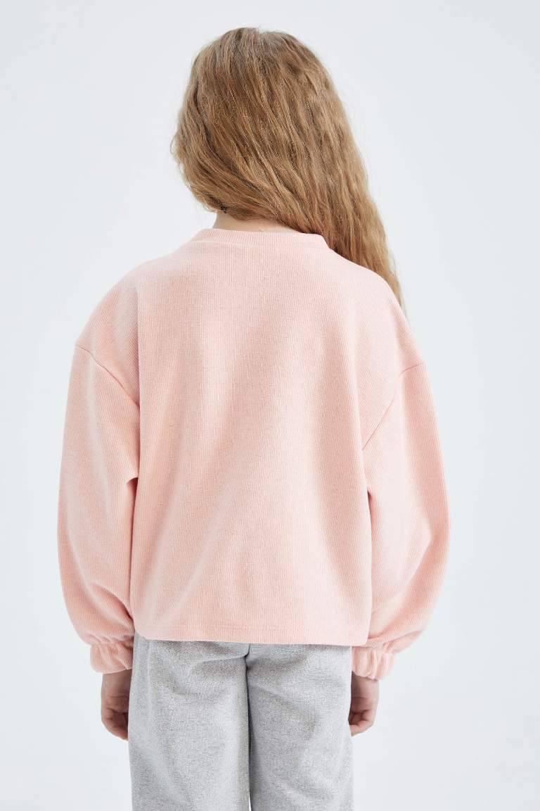 Crop Crew Neck Sweatshirt