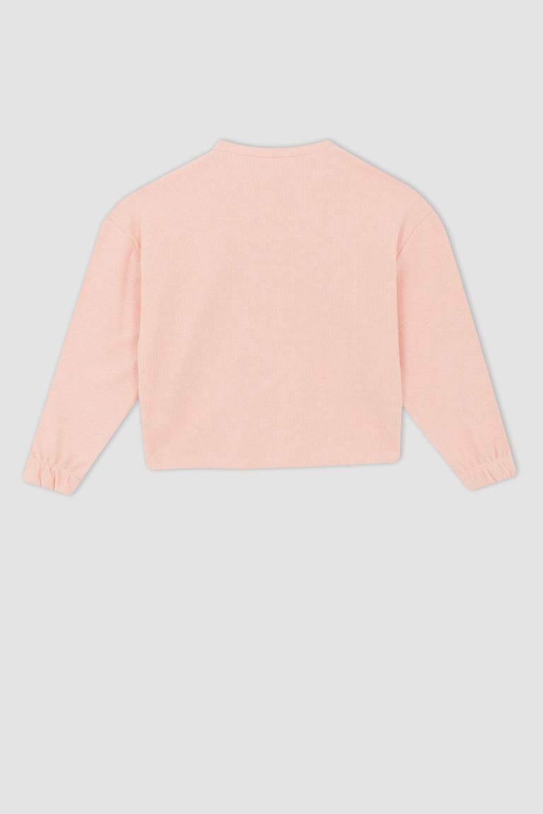 Crop Crew Neck Sweatshirt