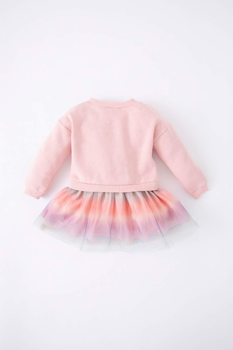 Regular Fit Long Sleeve Knitted Dress