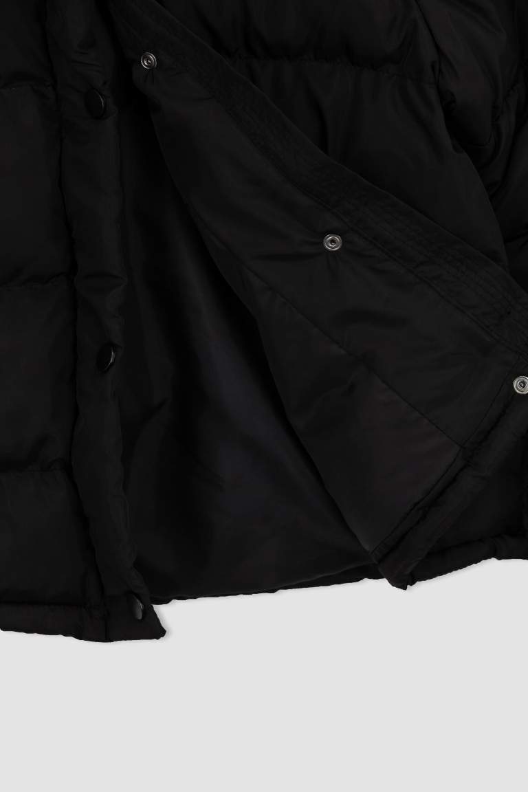 DeFactoFit Regular Fit Su İtici Rüzgar Geçirmez Crop Şişme Mont
