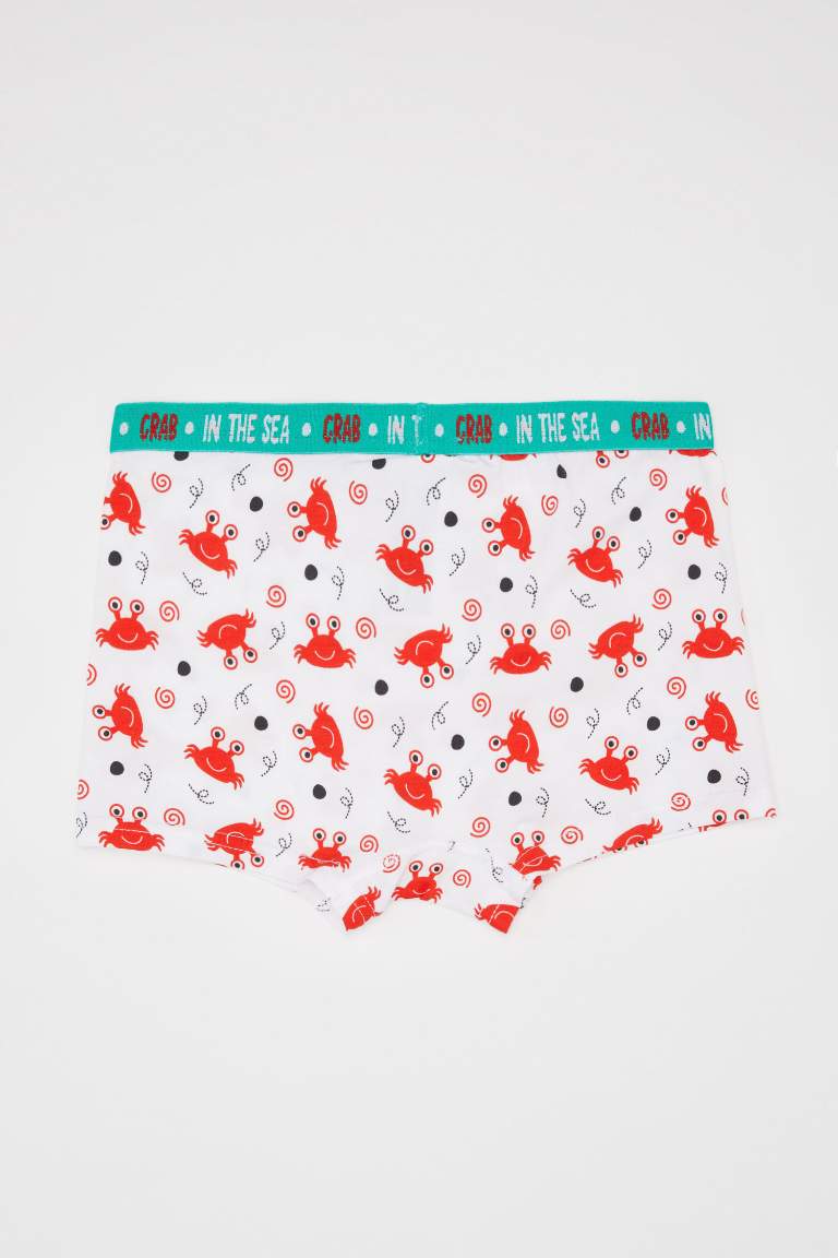 Boy 3 piece Boxer