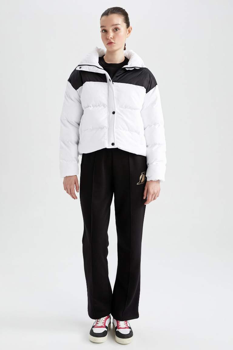 DeFactoFit Standart Fit Dik Yaka Mont