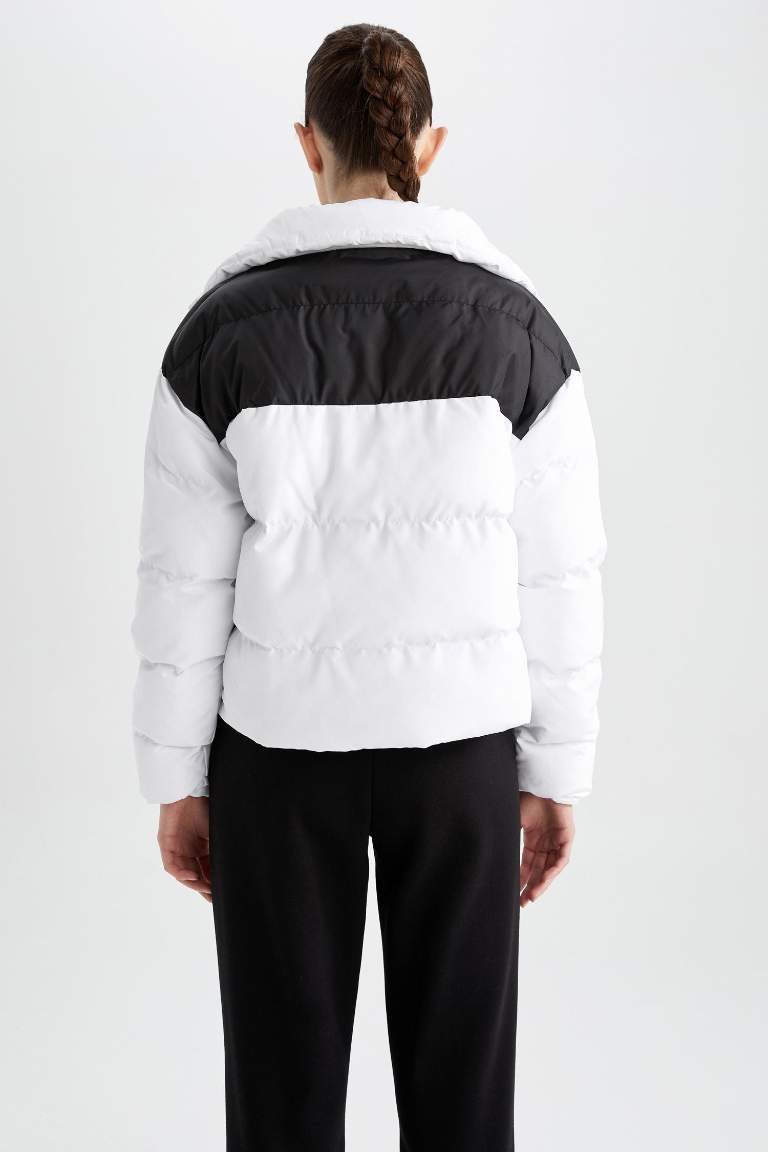 DeFactoFit Standart Fit Dik Yaka Mont