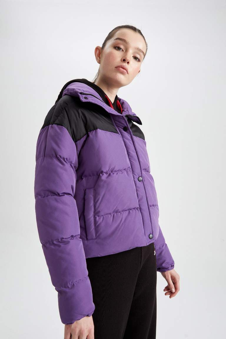 DeFactoFit Standart Fit Dik Yaka Şişme Mont