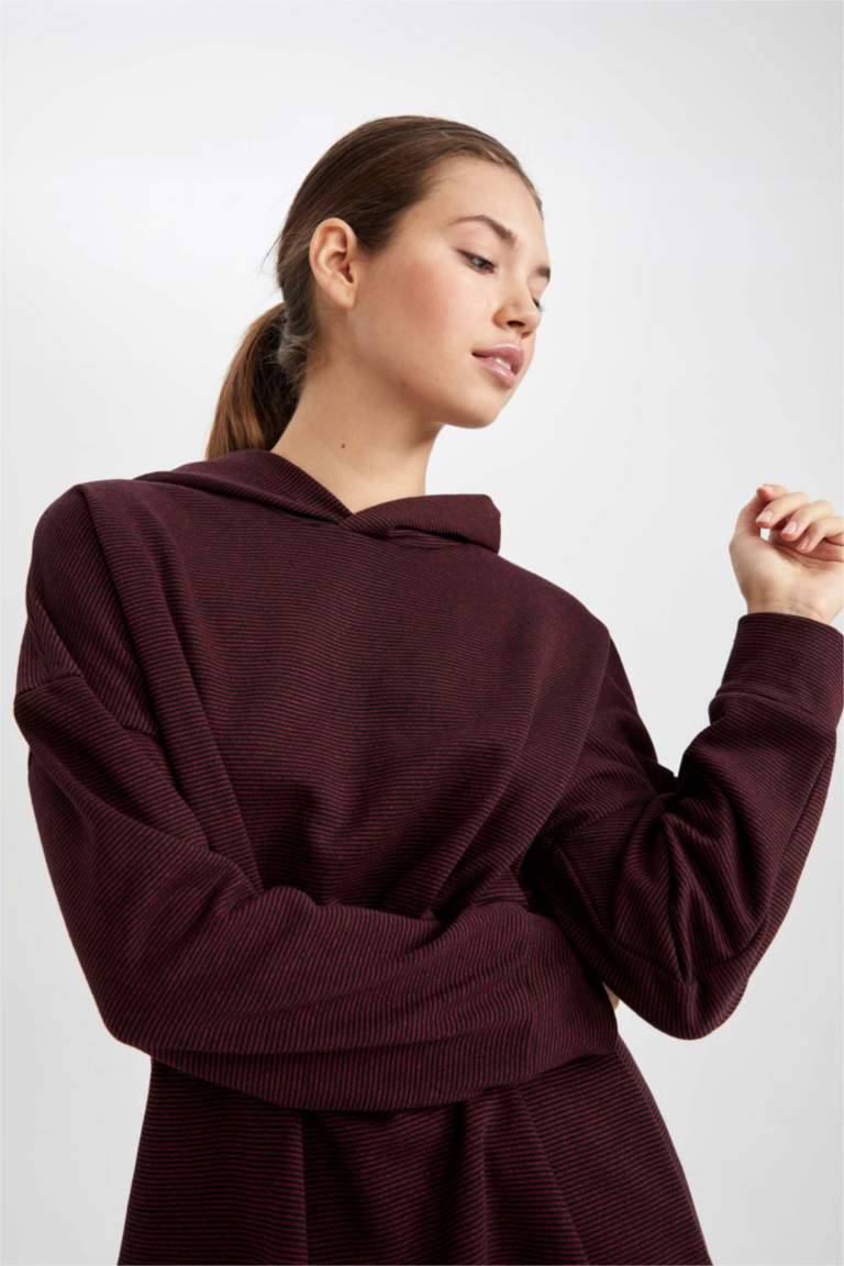 Regular Fit Kapüşonlu Uzun Kollu Sweatshirt Tunik