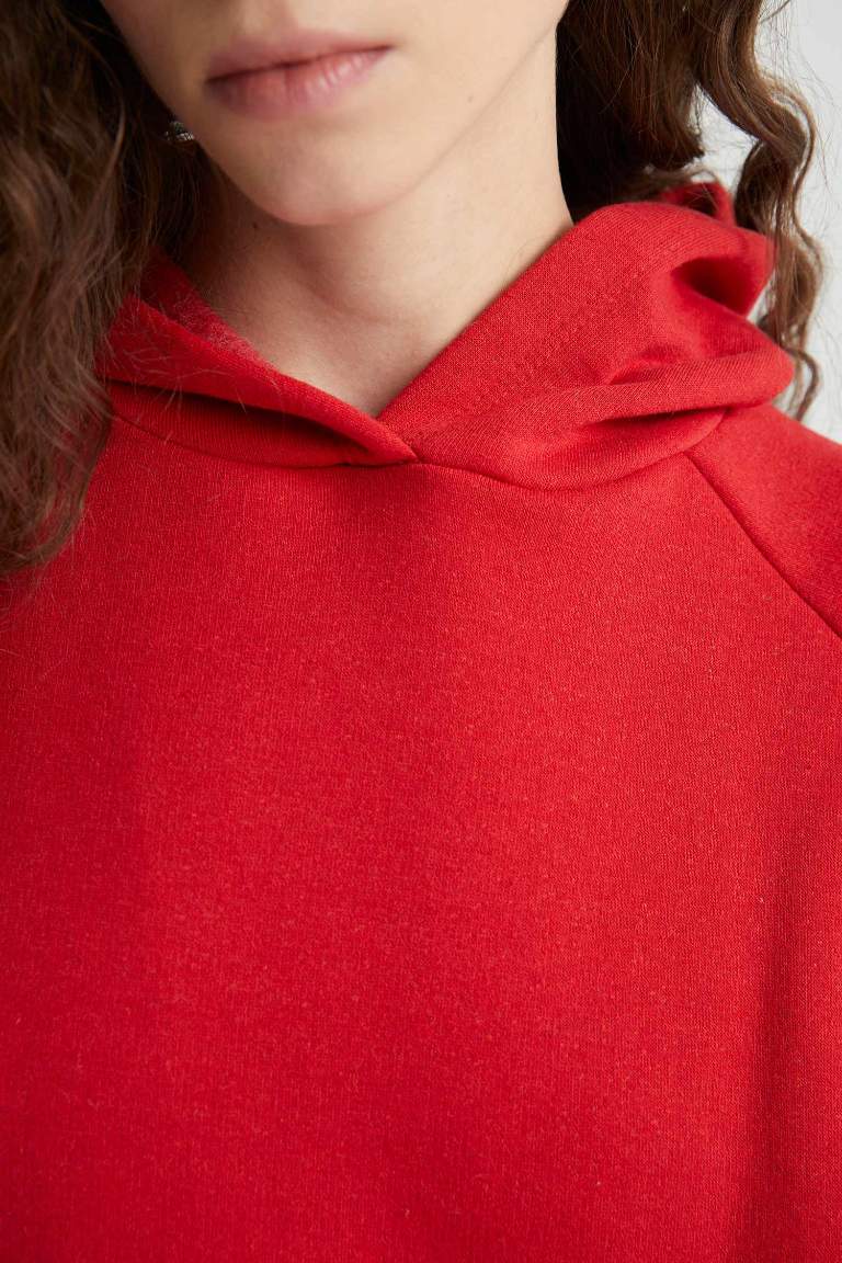 Crew Neck Hooded Kangaroo Pocket Basic Raglan Sweatshirt