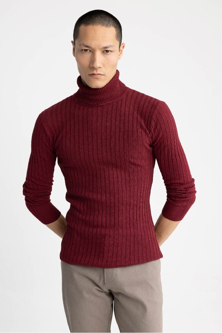 Regular Fit Turtleneck Knitwear Pullover