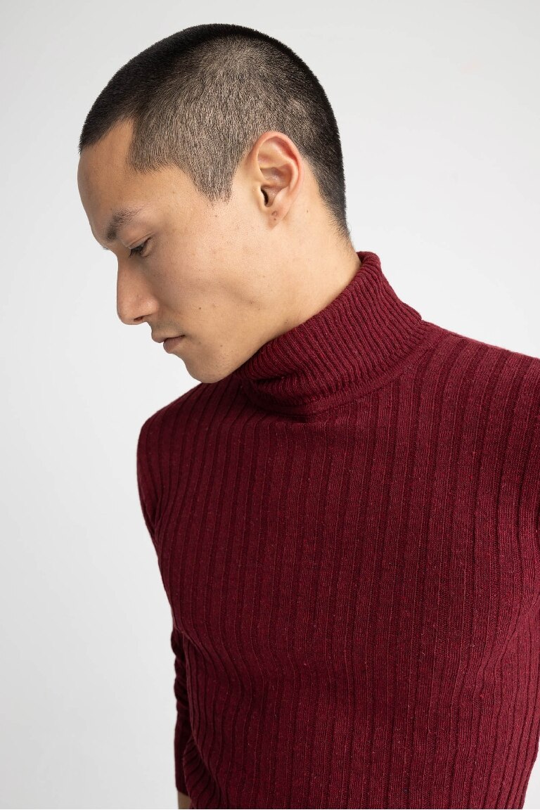 Regular Fit Turtleneck Knitwear Pullover