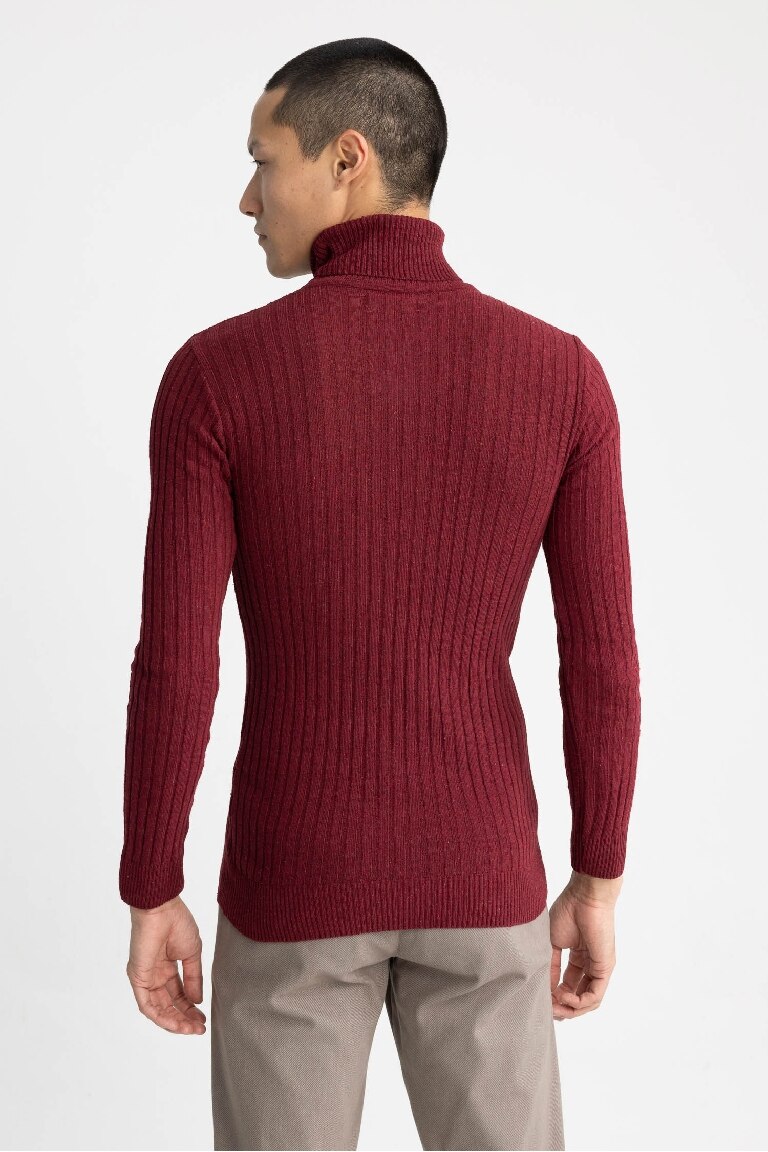 Regular Fit Turtleneck Knitwear Pullover