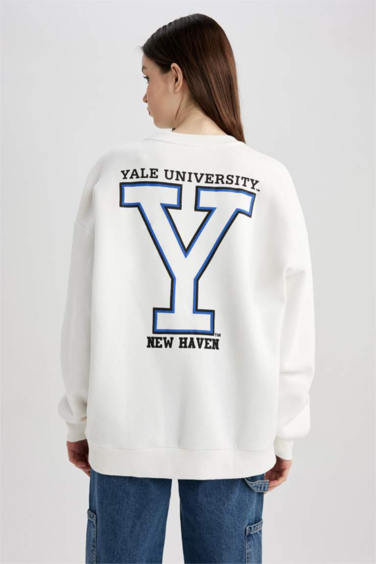 Pull&Bear - Yale - Sweat oversize style universitaire avec col - Gris Pull&Bear - Yale - Sweat oversize style universitaire avec col - Gris