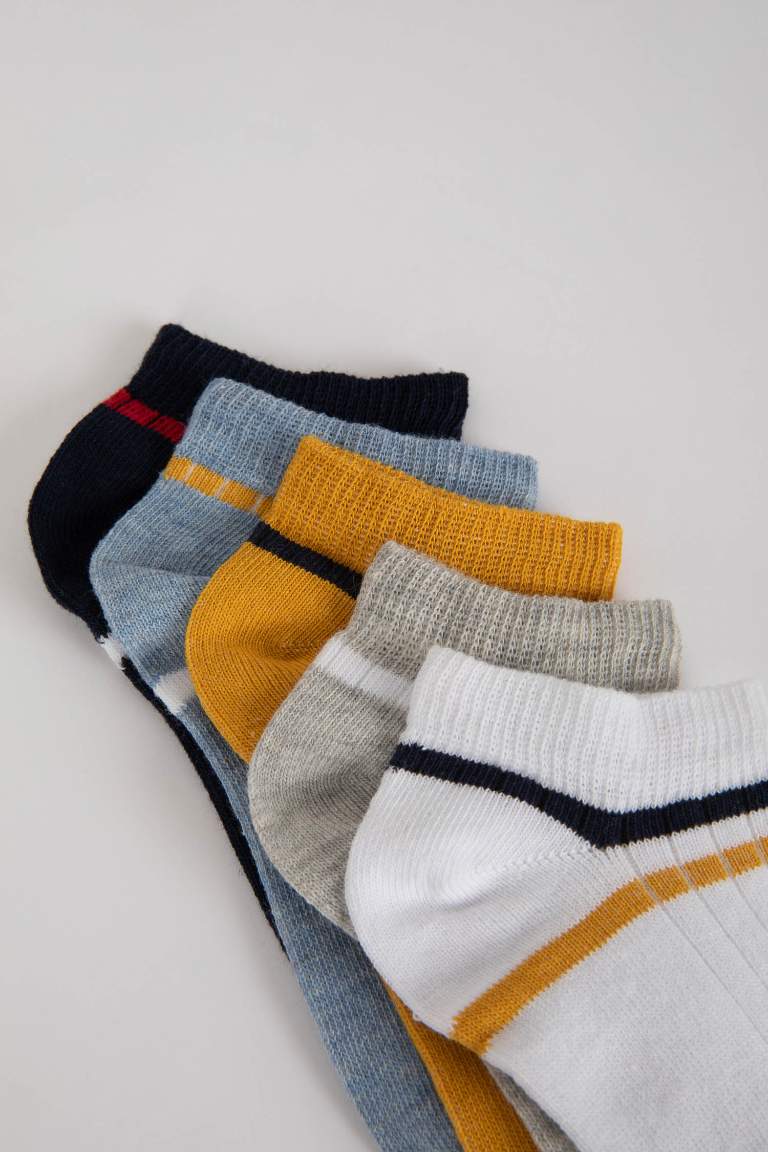 Boys 5 Pack Cotton Booties Socks