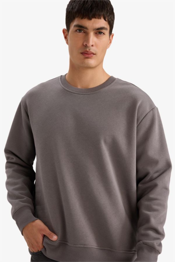 Relax Fit Bisiklet Yaka Kalın İçi Yumuşak Tüylü Basic Düz Sweatshirt