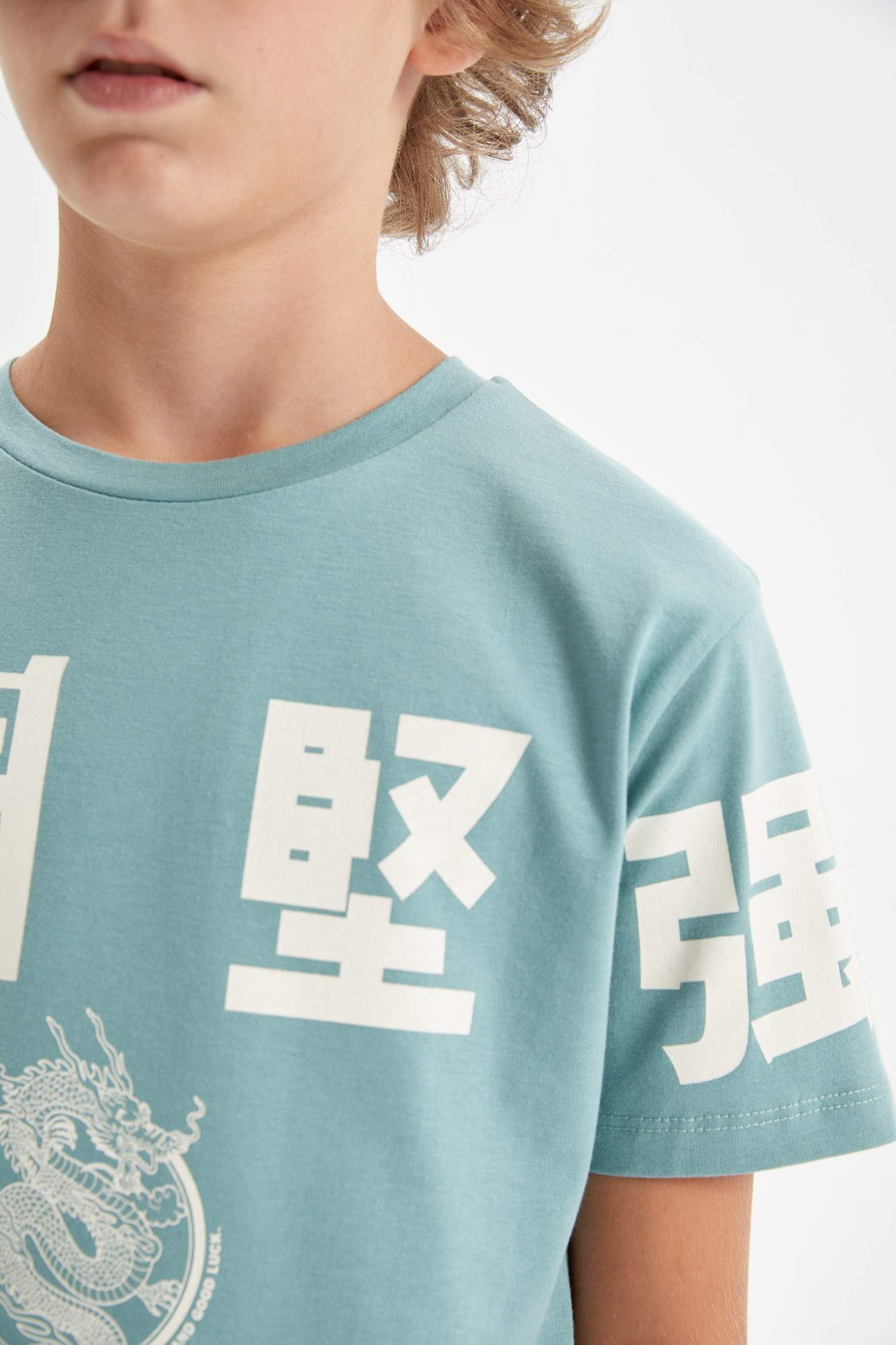 Boy Crew Neck Printed Short Sleeve T-Shirt