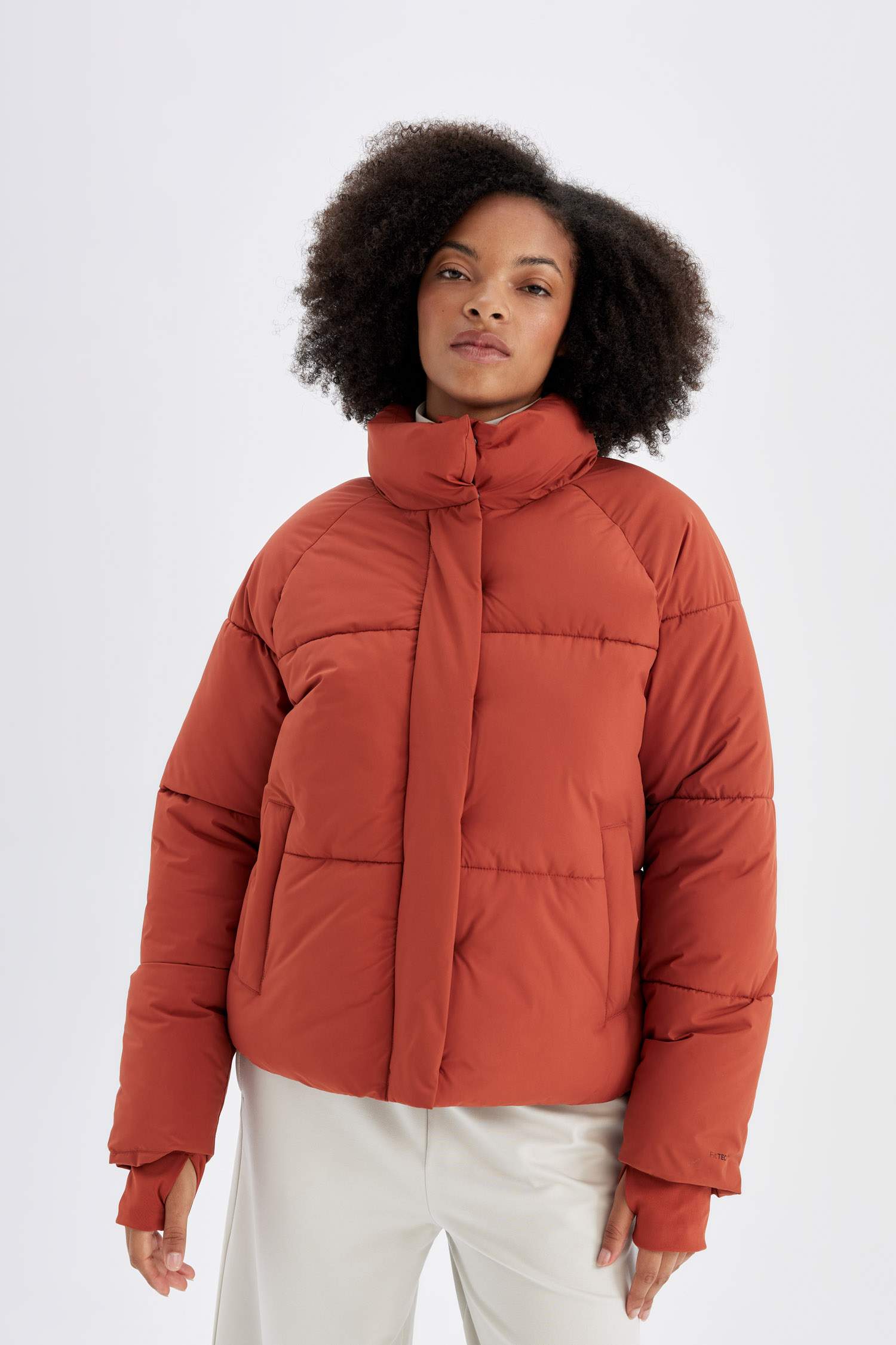 Su İtici Regular Fit Dik Yaka Reglan Kol Kışlık Şişme Mont