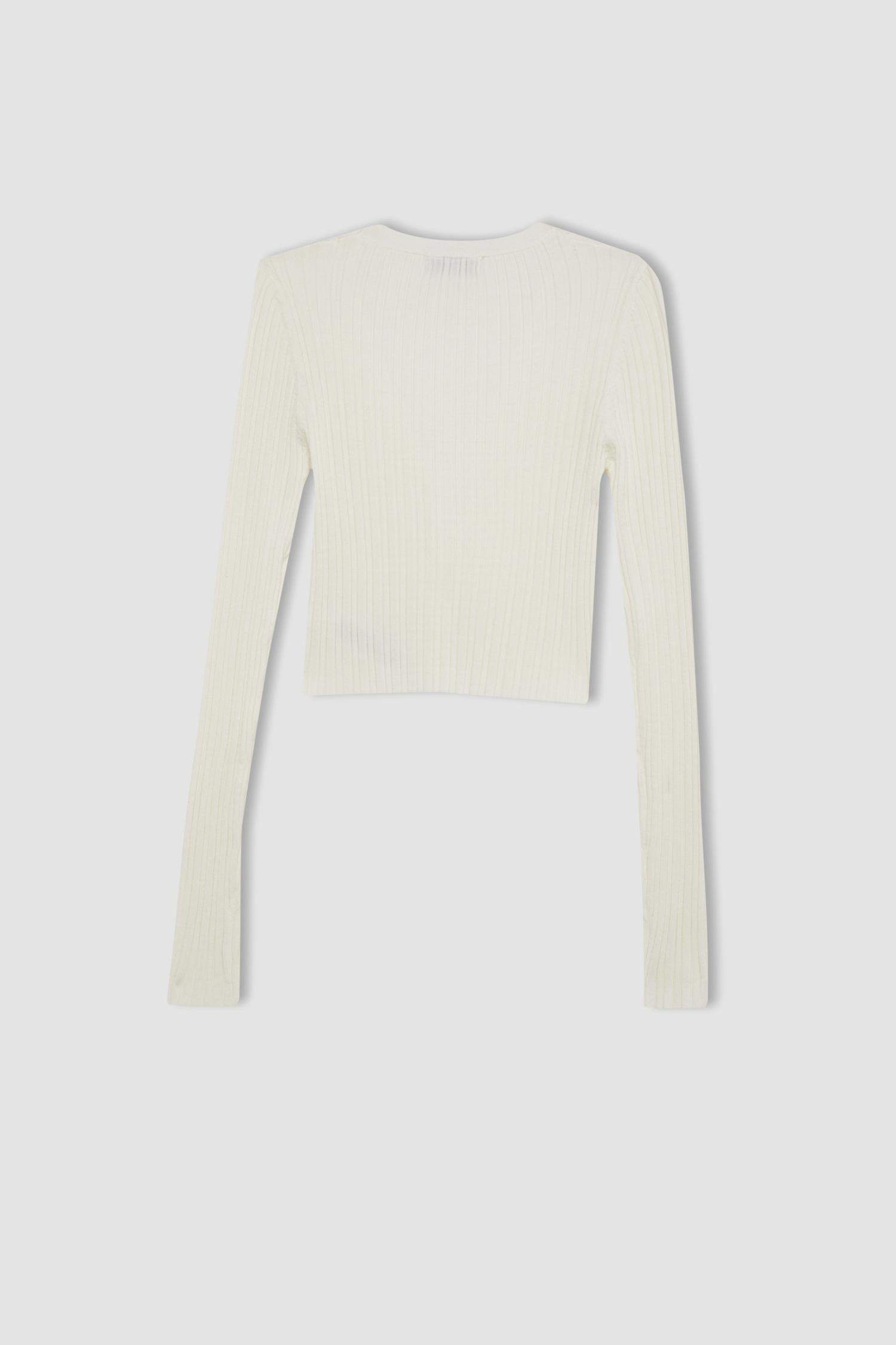 كارديجان تريكو قصة عادية برقبة V