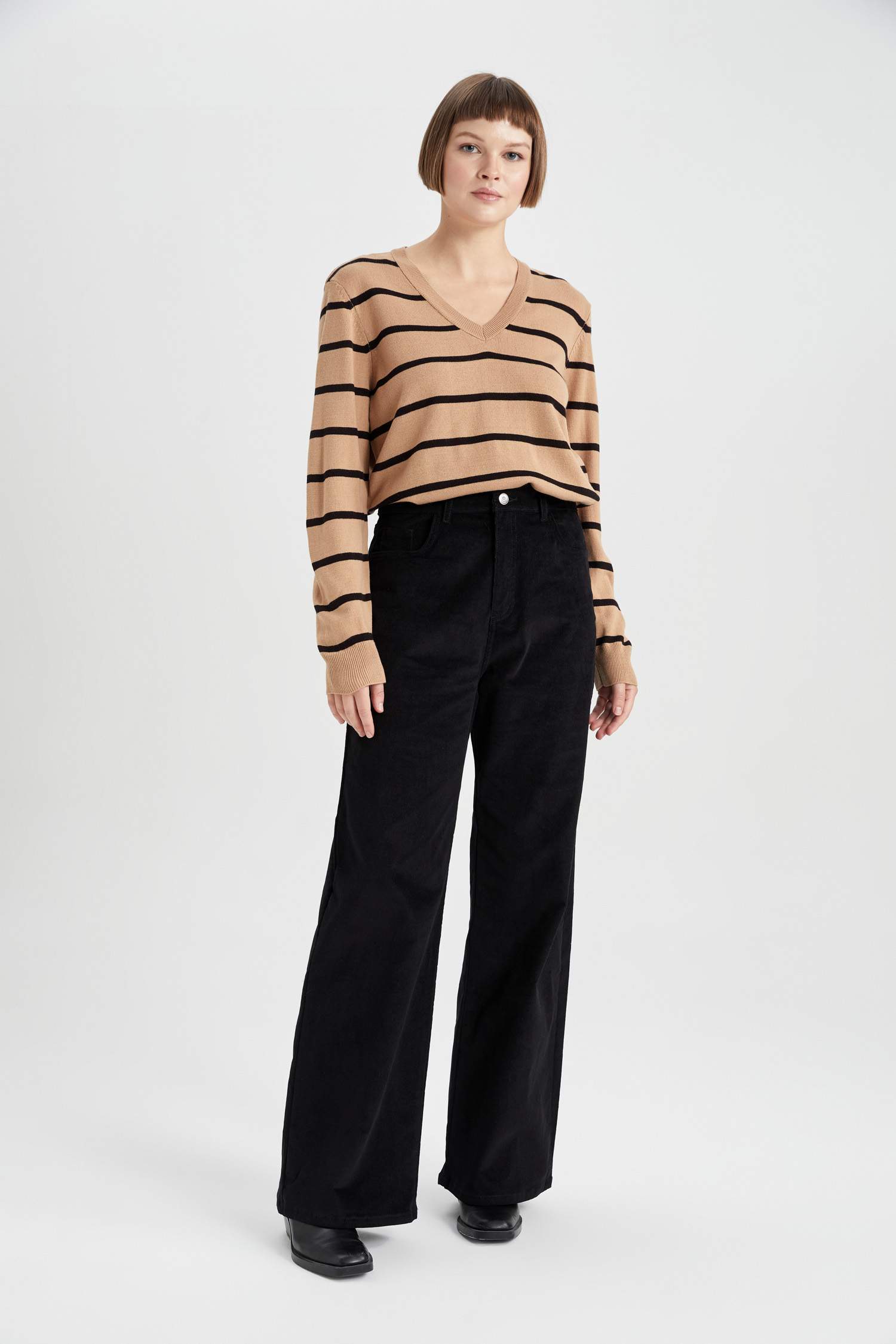 Regular Fit V-Neck Pullover