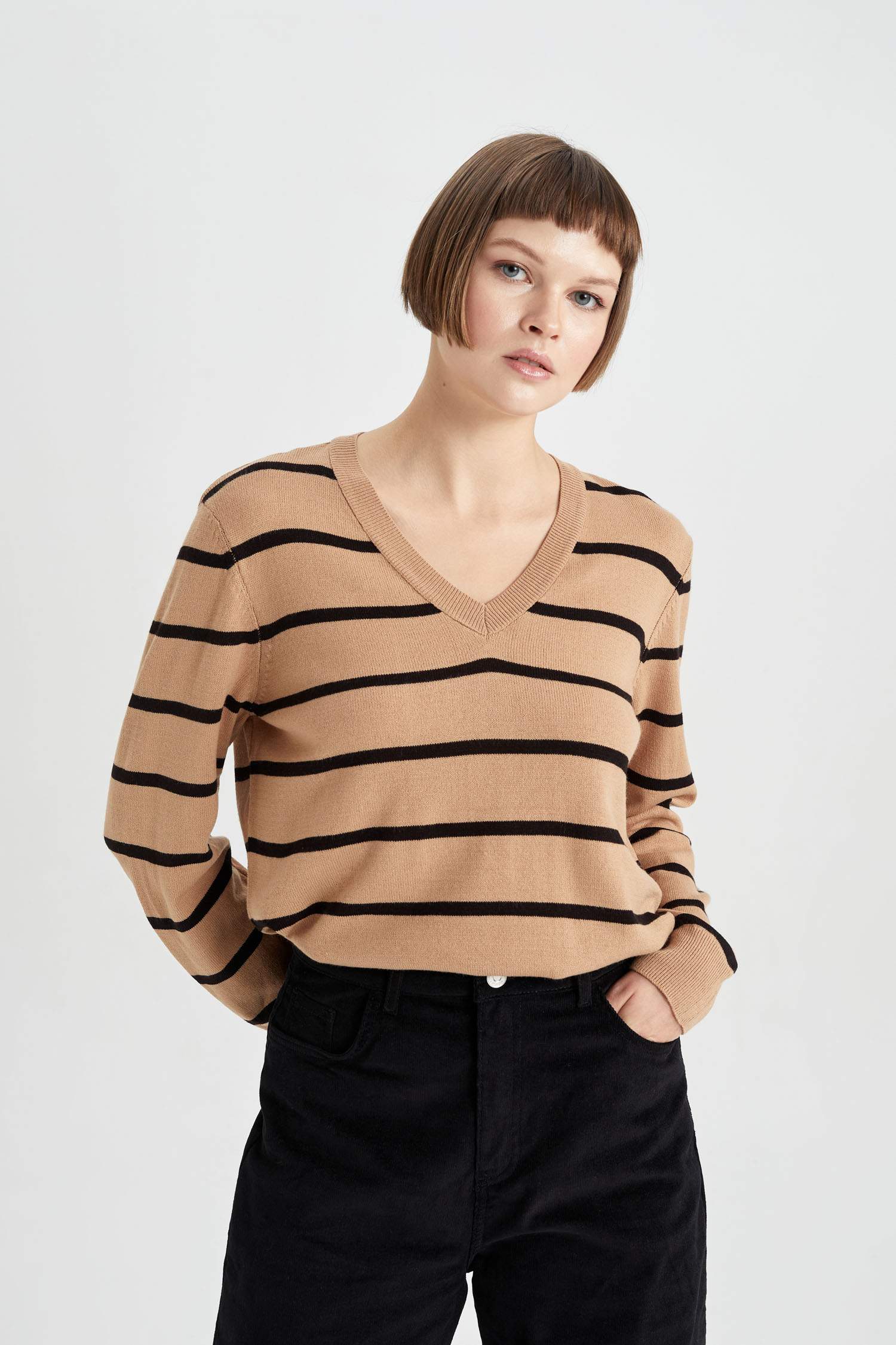 Regular Fit V-Neck Pullover